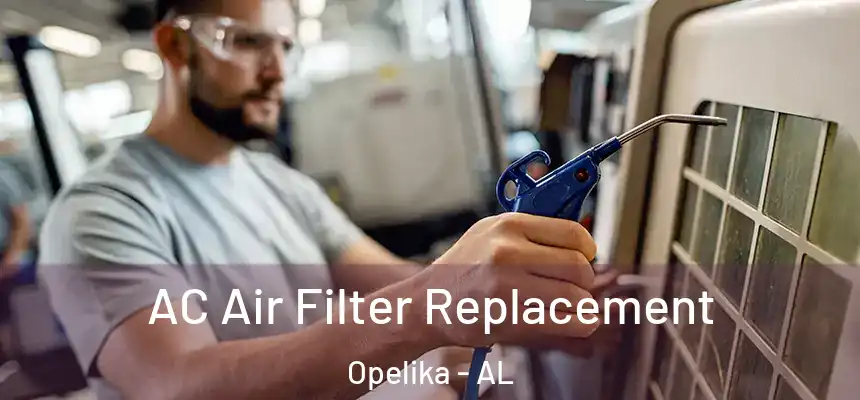  AC Air Filter Replacement Opelika - AL