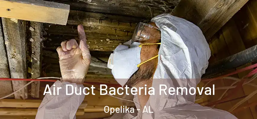  Air Duct Bacteria Removal Opelika - AL