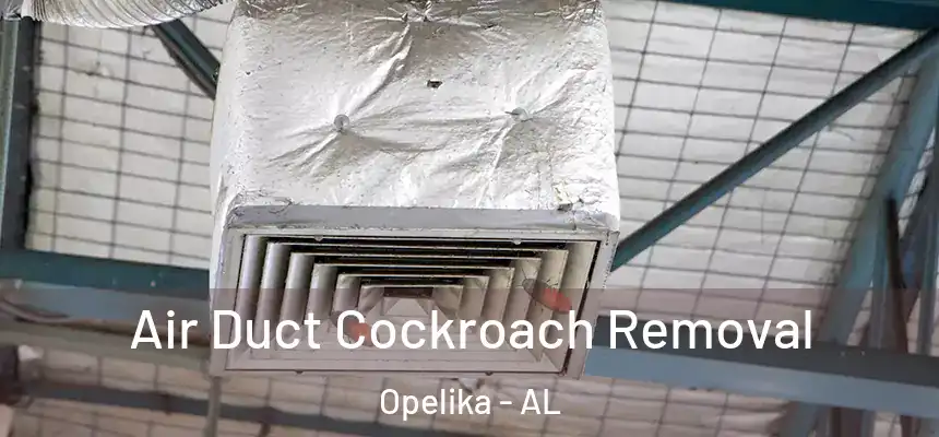 Air Duct Cockroach Removal Opelika - AL
