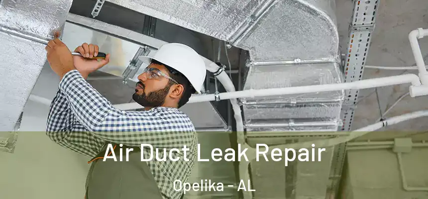  Air Duct Leak Repair Opelika - AL