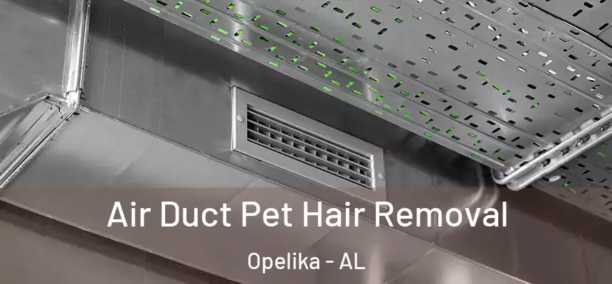 Air Duct Pet Hair Removal Opelika - AL