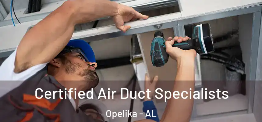  Certified Air Duct Specialists Opelika - AL
