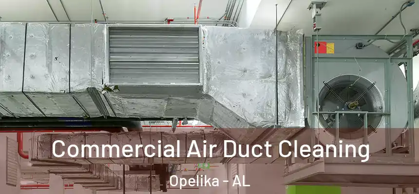 Commercial Air Duct Cleaning Opelika - AL