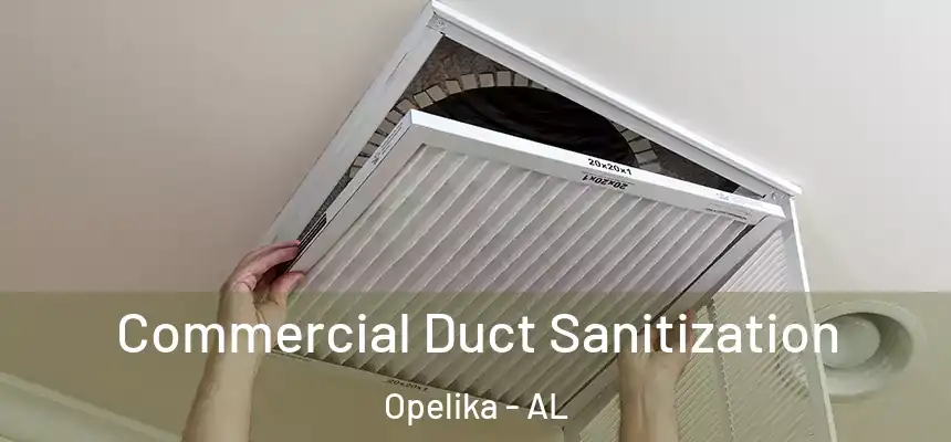  Commercial Duct Sanitization Opelika - AL