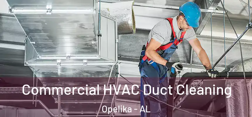 Commercial HVAC Duct Cleaning Opelika - AL