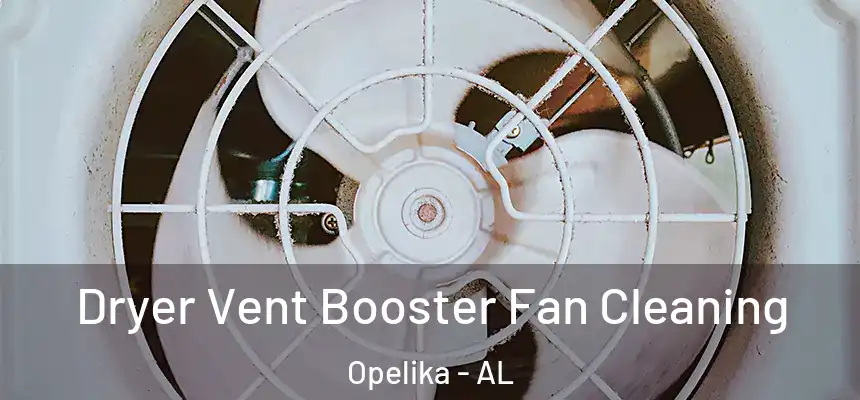 Dryer Vent Booster Fan Cleaning Opelika - AL