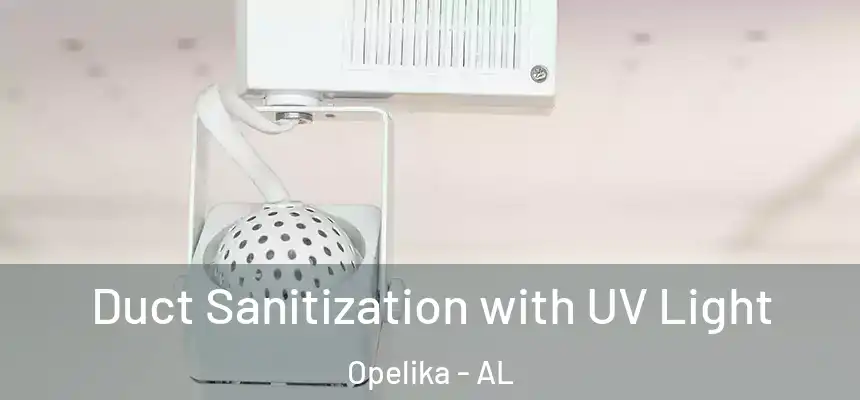  Duct Sanitization with UV Light Opelika - AL