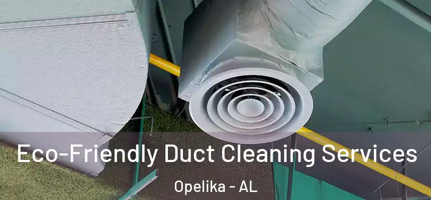  Eco-Friendly Duct Cleaning Services Opelika - AL