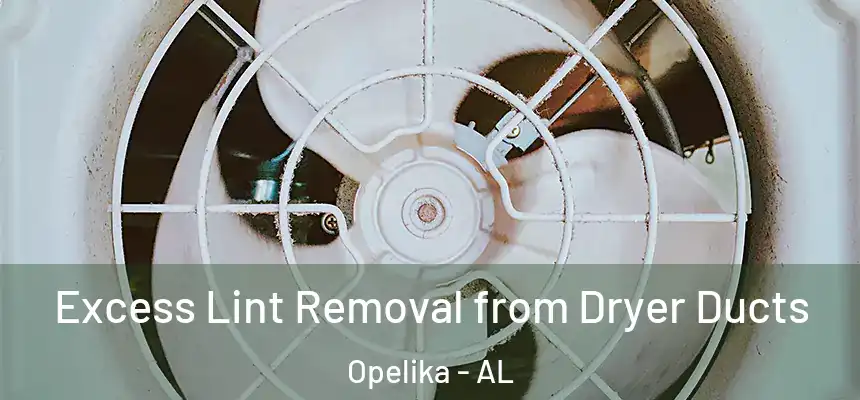  Excess Lint Removal from Dryer Ducts Opelika - AL