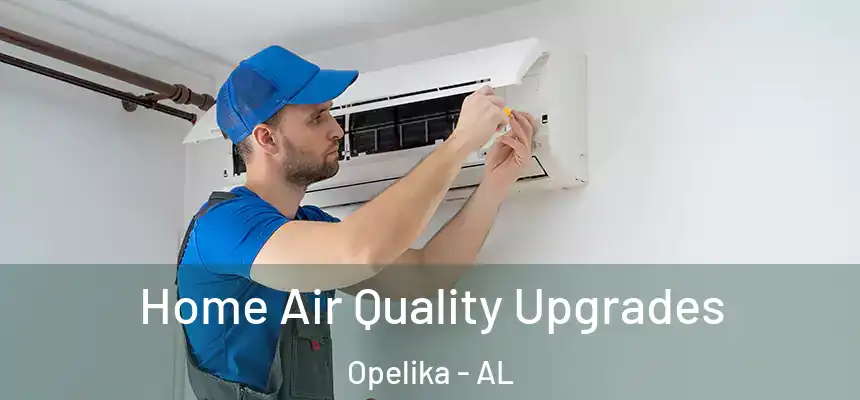  Home Air Quality Upgrades Opelika - AL