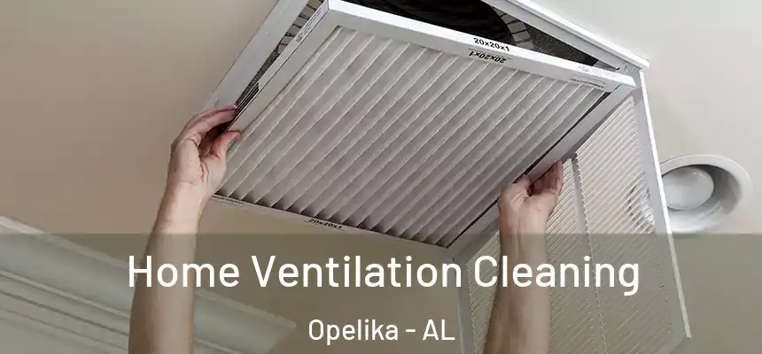 Home Ventilation Cleaning Opelika - AL