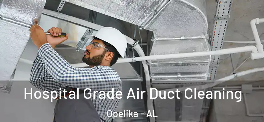 Hospital Grade Air Duct Cleaning Opelika - AL