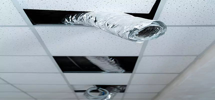 Our Air Duct Pet Hair Removal Services in Opelika, AL