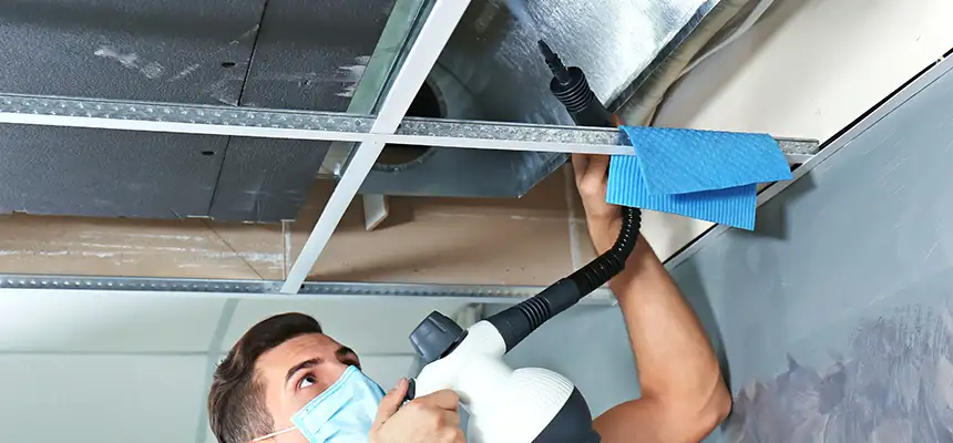 Our Air Duct Rodent Removal Services in Opelika, AL