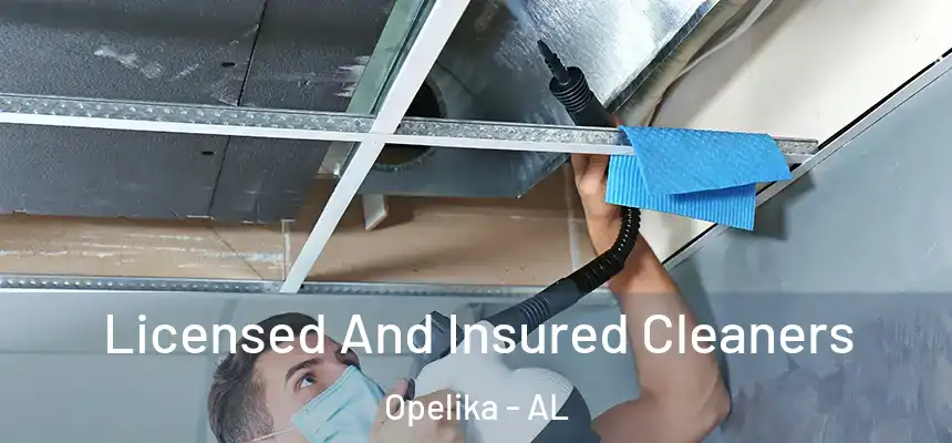  Licensed And Insured Cleaners Opelika - AL