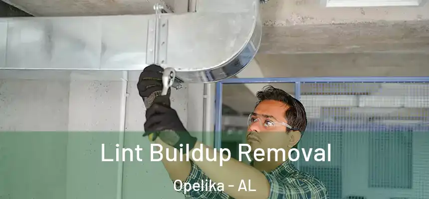  Lint Buildup Removal Opelika - AL