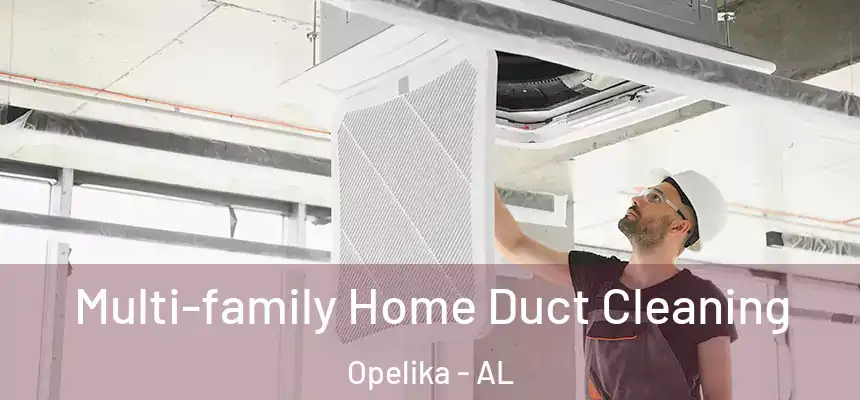  Multi-family Home Duct Cleaning Opelika - AL
