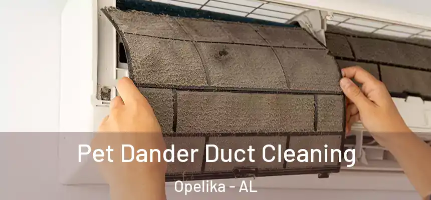 Pet Dander Duct Cleaning Opelika - AL