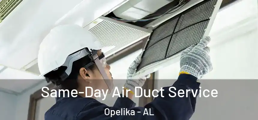  Same-Day Air Duct Service Opelika - AL