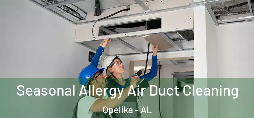 Seasonal Allergy Air Duct Cleaning Opelika - AL