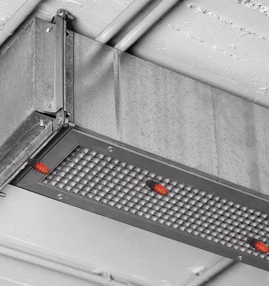 About Air Duct Cockroach Removal in Opelika, AL