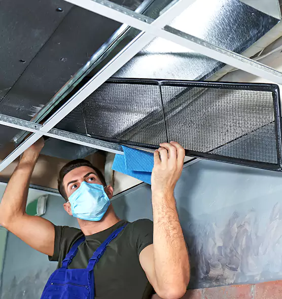 Professional Home Ventilation Cleaning in Opelika, AL