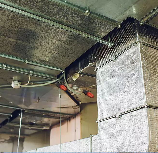 Why Homeowners & Businesses Trust Us in Opelika, AL?