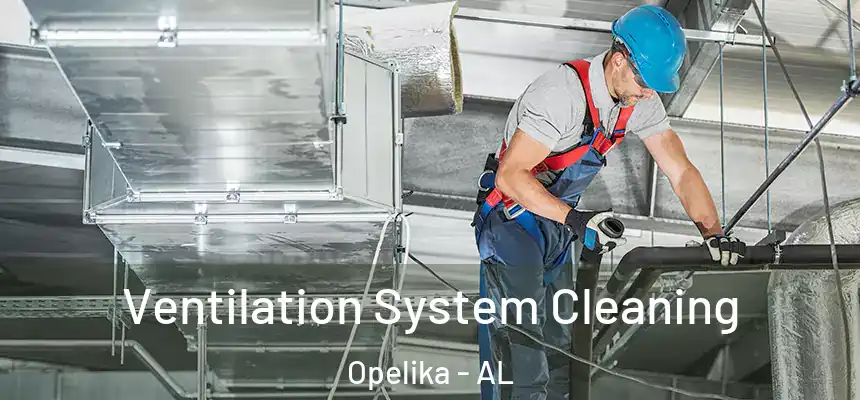 Ventilation System Cleaning Opelika - AL